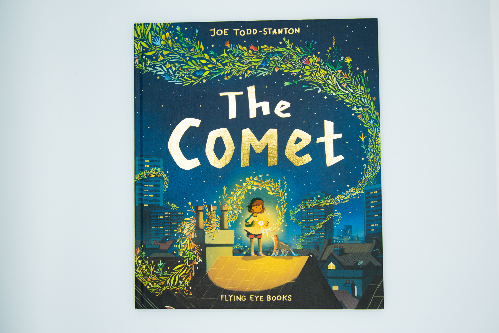 Book cover of The Comet